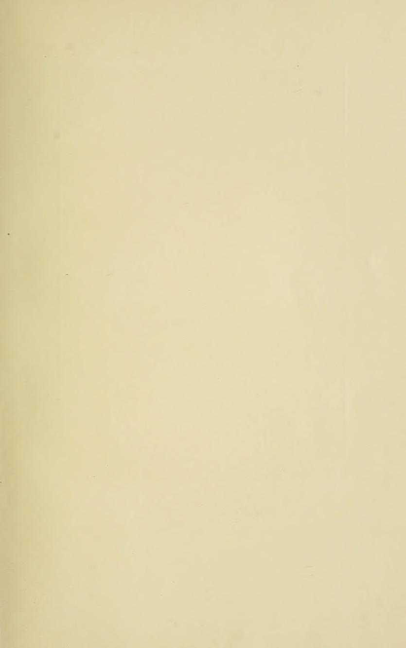 Grundsätze der Dressur und Reitkunst, скан 7 из 530