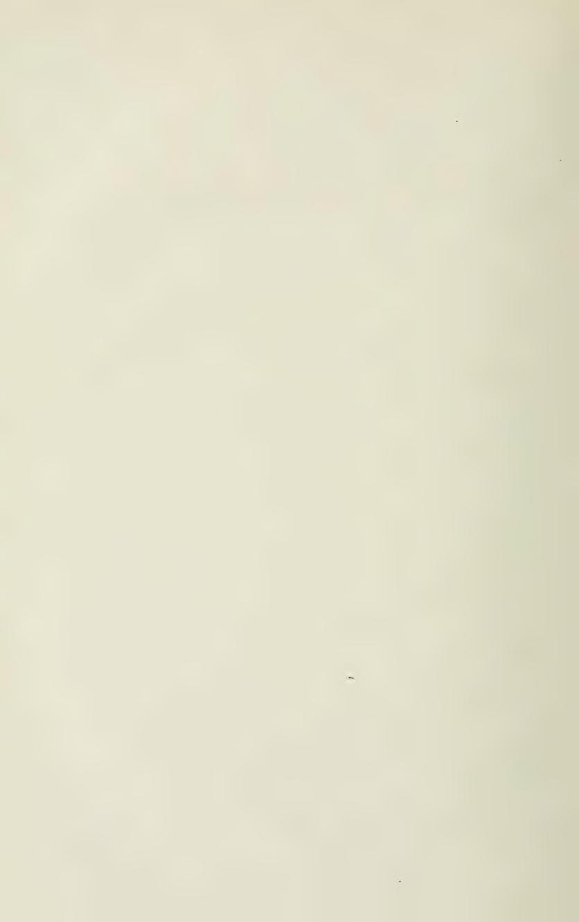 Grundsätze der Dressur und Reitkunst, скан 24 из 530