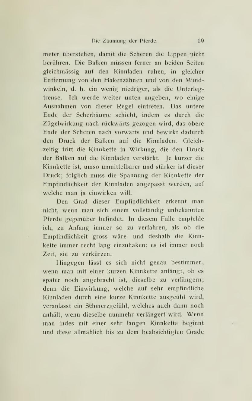 Grundsätze der Dressur und Reitkunst, скан 41 из 530