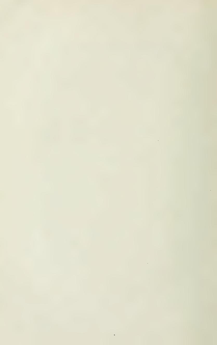 Grundsätze der Dressur und Reitkunst, скан 72 из 530