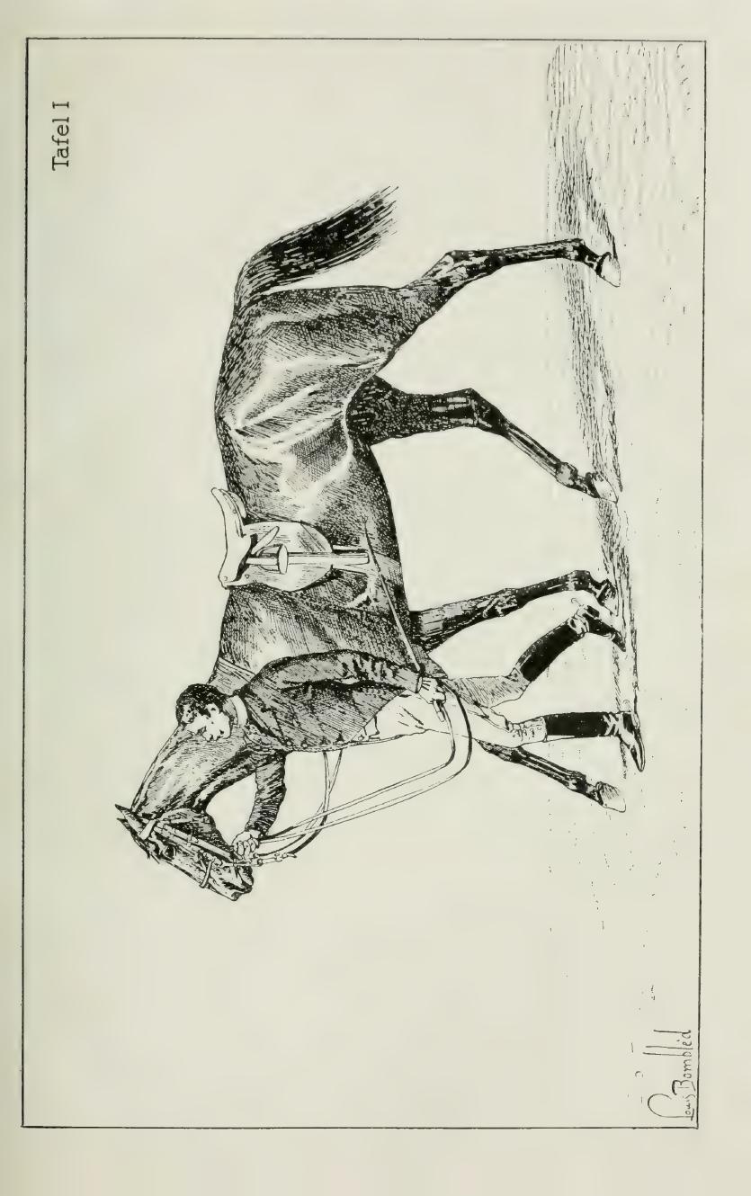 Grundsätze der Dressur und Reitkunst, скан 87 из 530