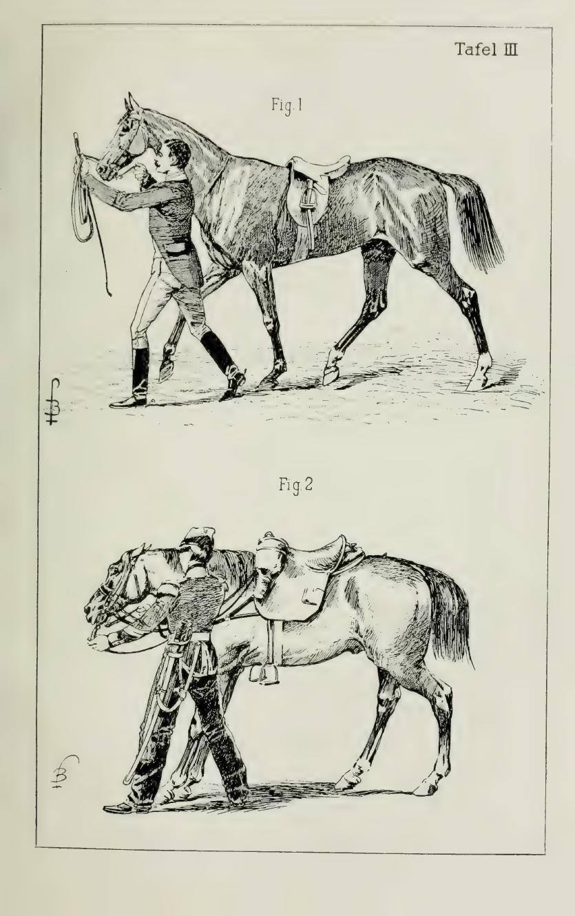 Grundsätze der Dressur und Reitkunst, скан 99 из 530
