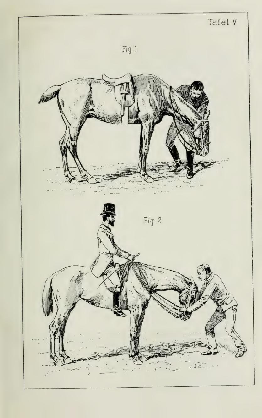 Grundsätze der Dressur und Reitkunst, скан 113 из 530