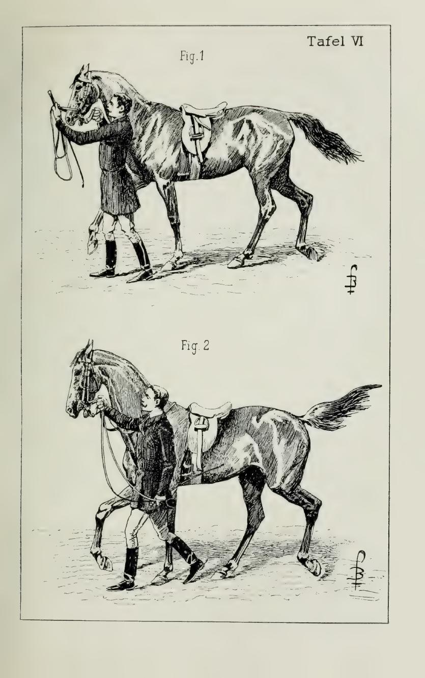Grundsätze der Dressur und Reitkunst, скан 117 из 530