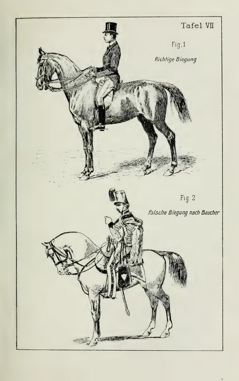 Grundsätze der Dressur und Reitkunst, скан 121 из 530