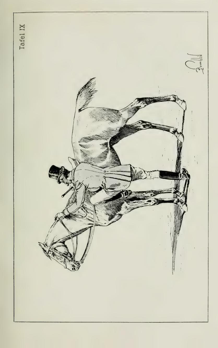 Grundsätze der Dressur und Reitkunst, скан 129 из 530