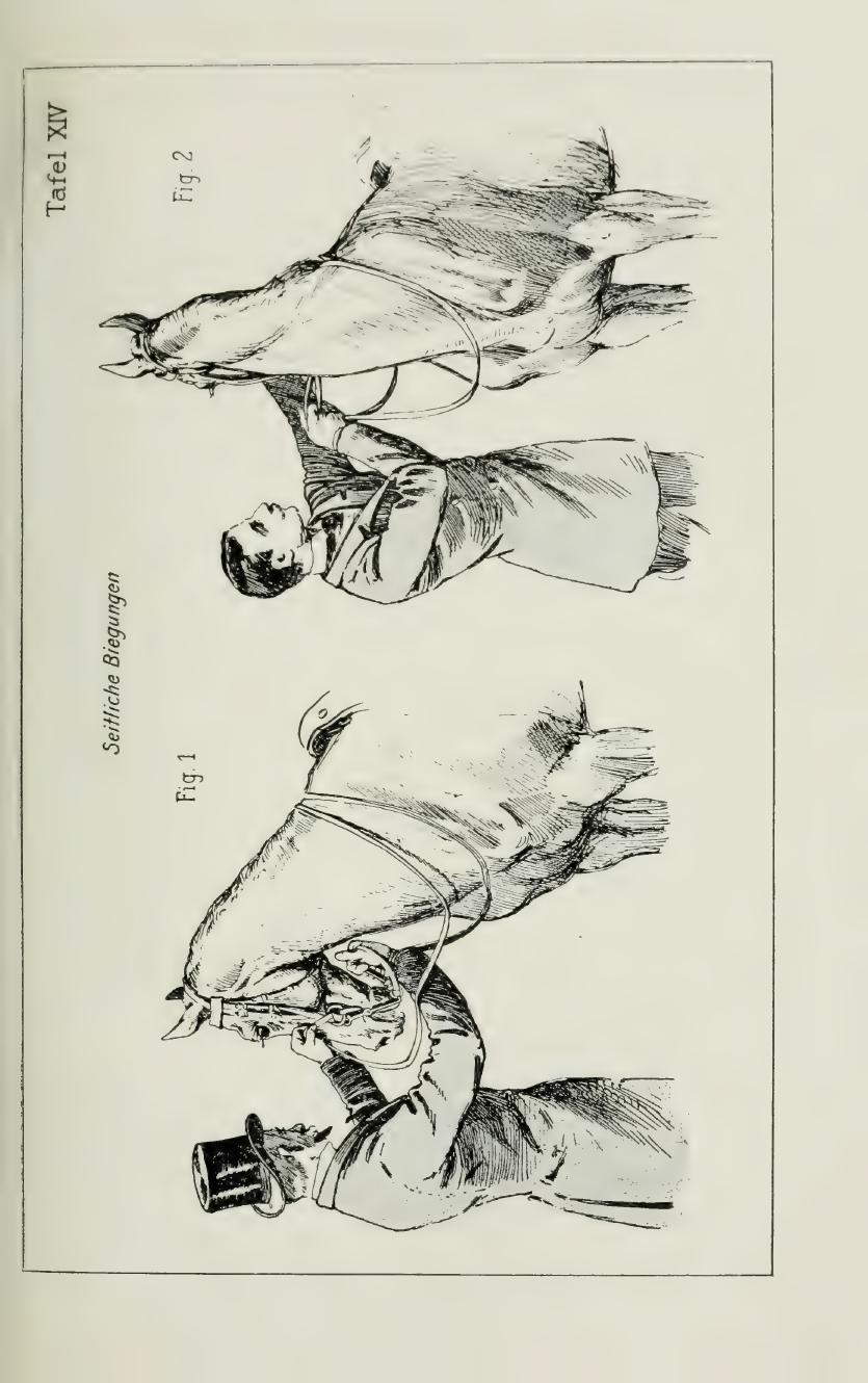 Grundsätze der Dressur und Reitkunst, скан 171 из 530