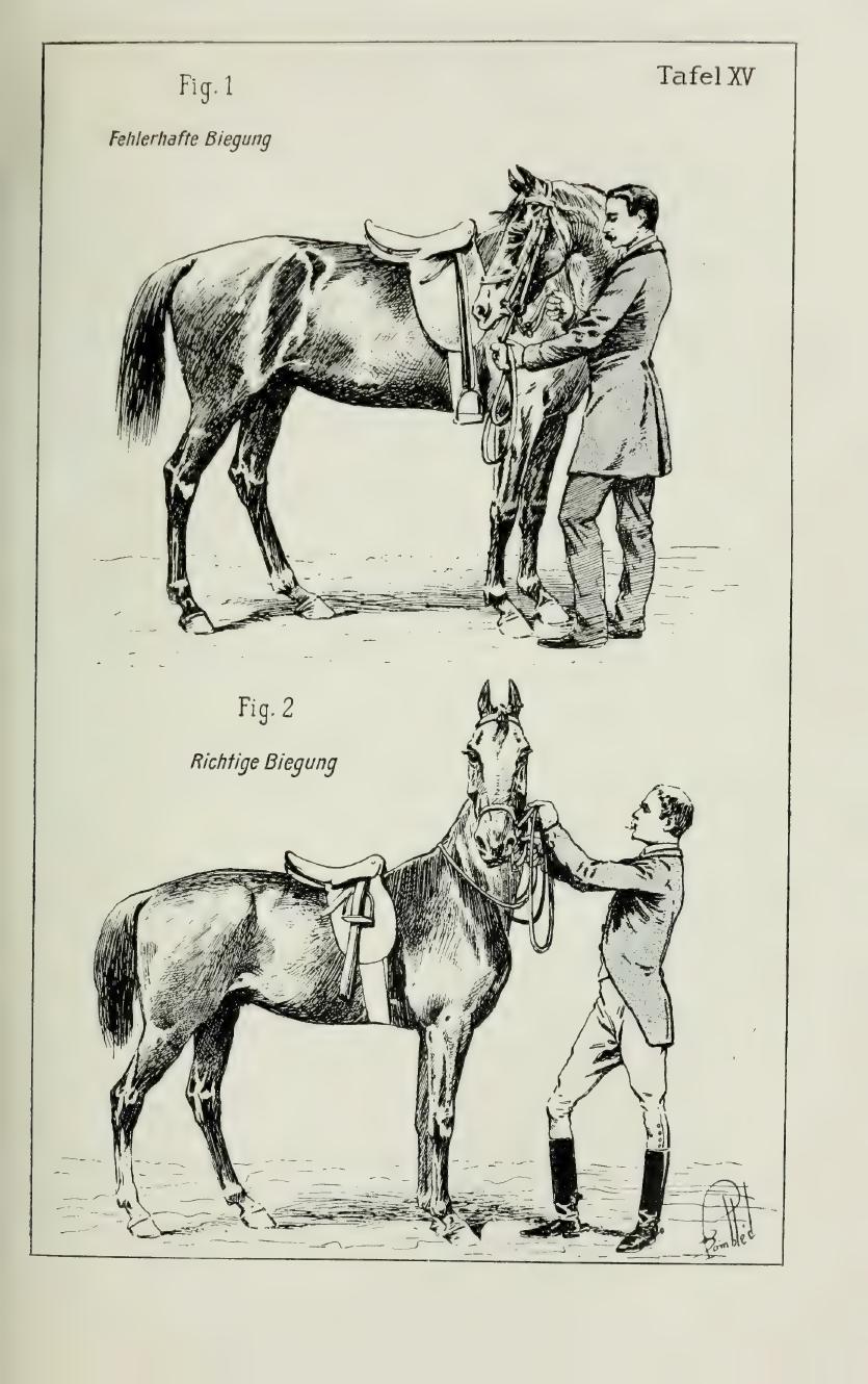 Grundsätze der Dressur und Reitkunst, скан 175 из 530