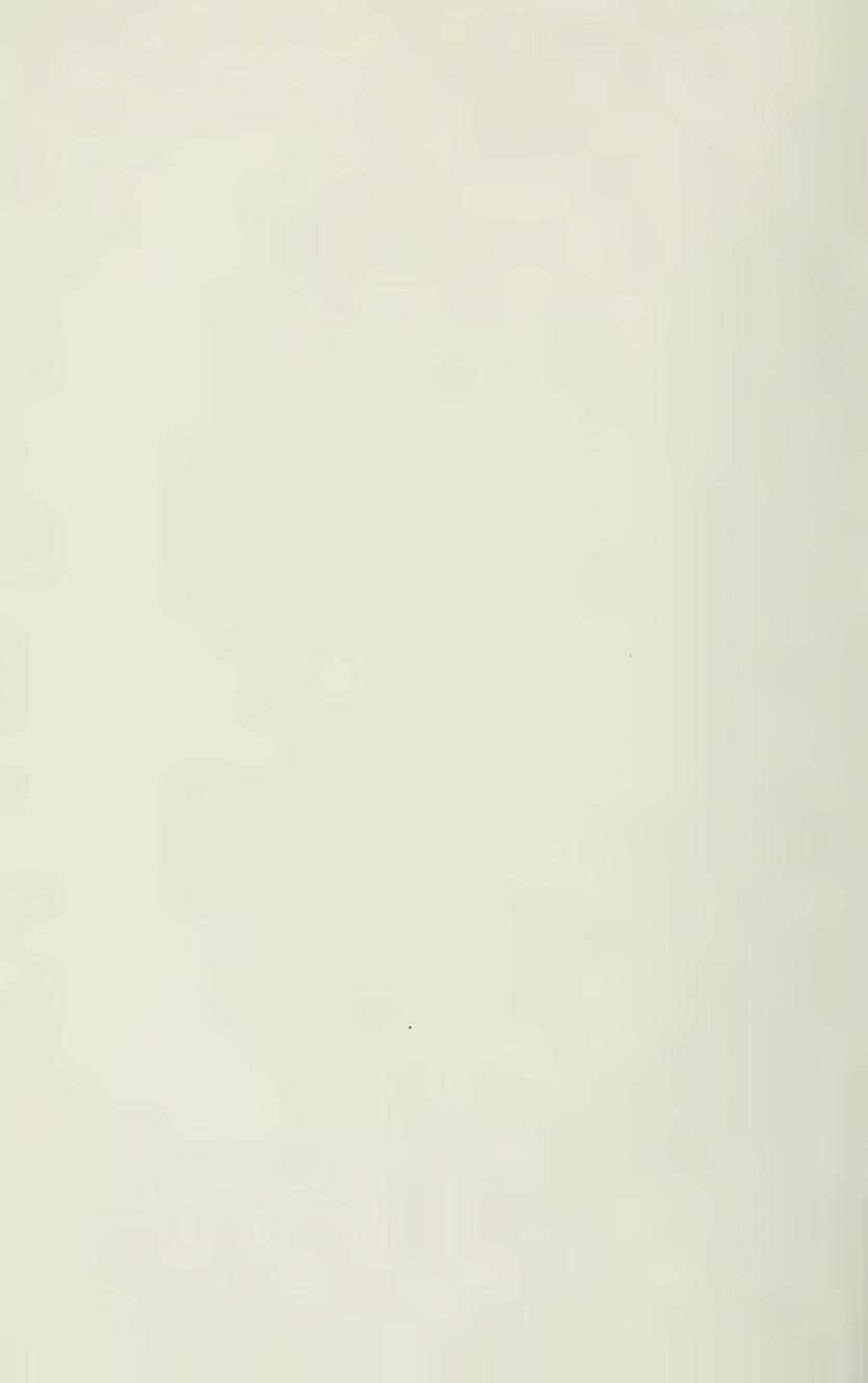 Grundsätze der Dressur und Reitkunst, скан 176 из 530