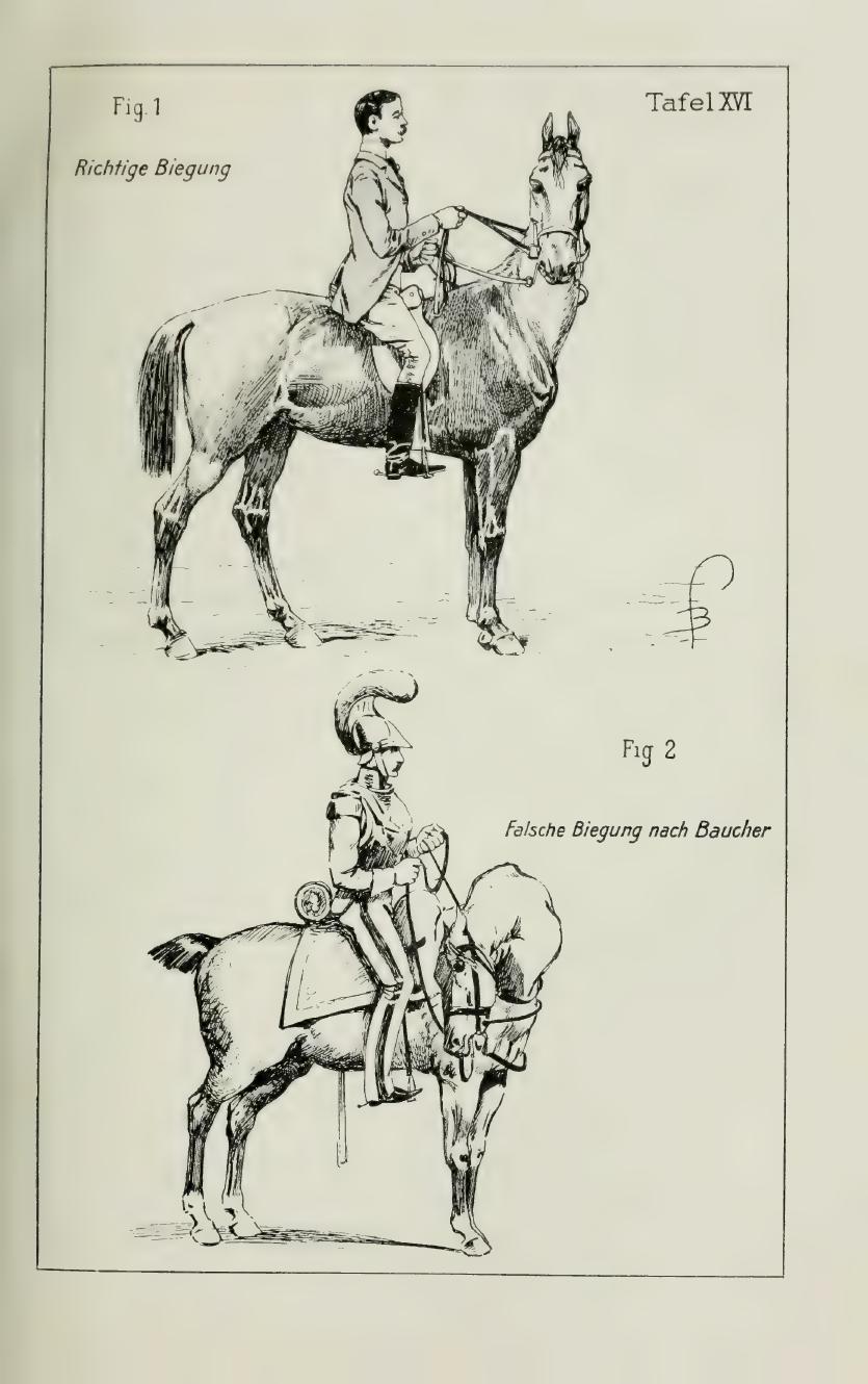 Grundsätze der Dressur und Reitkunst, скан 179 из 530