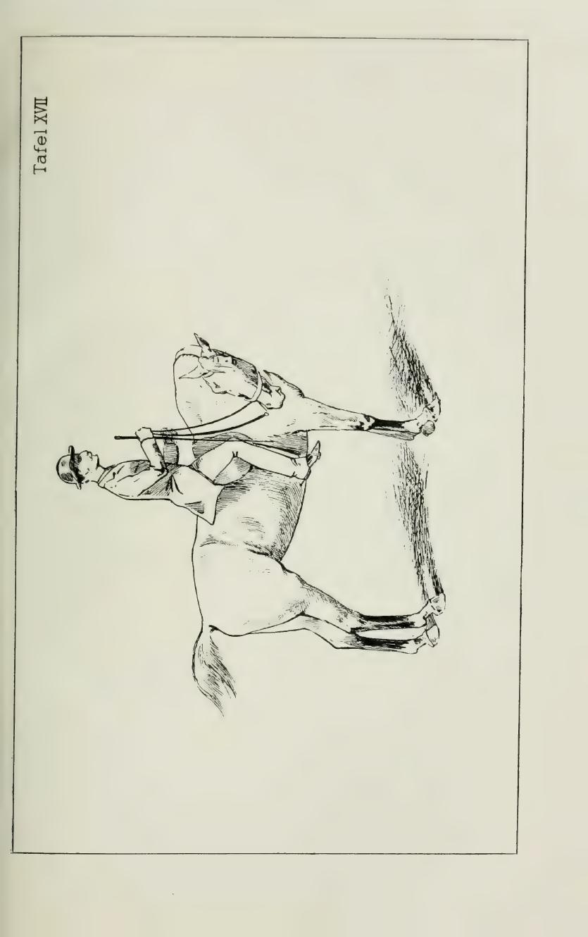 Grundsätze der Dressur und Reitkunst, скан 183 из 530