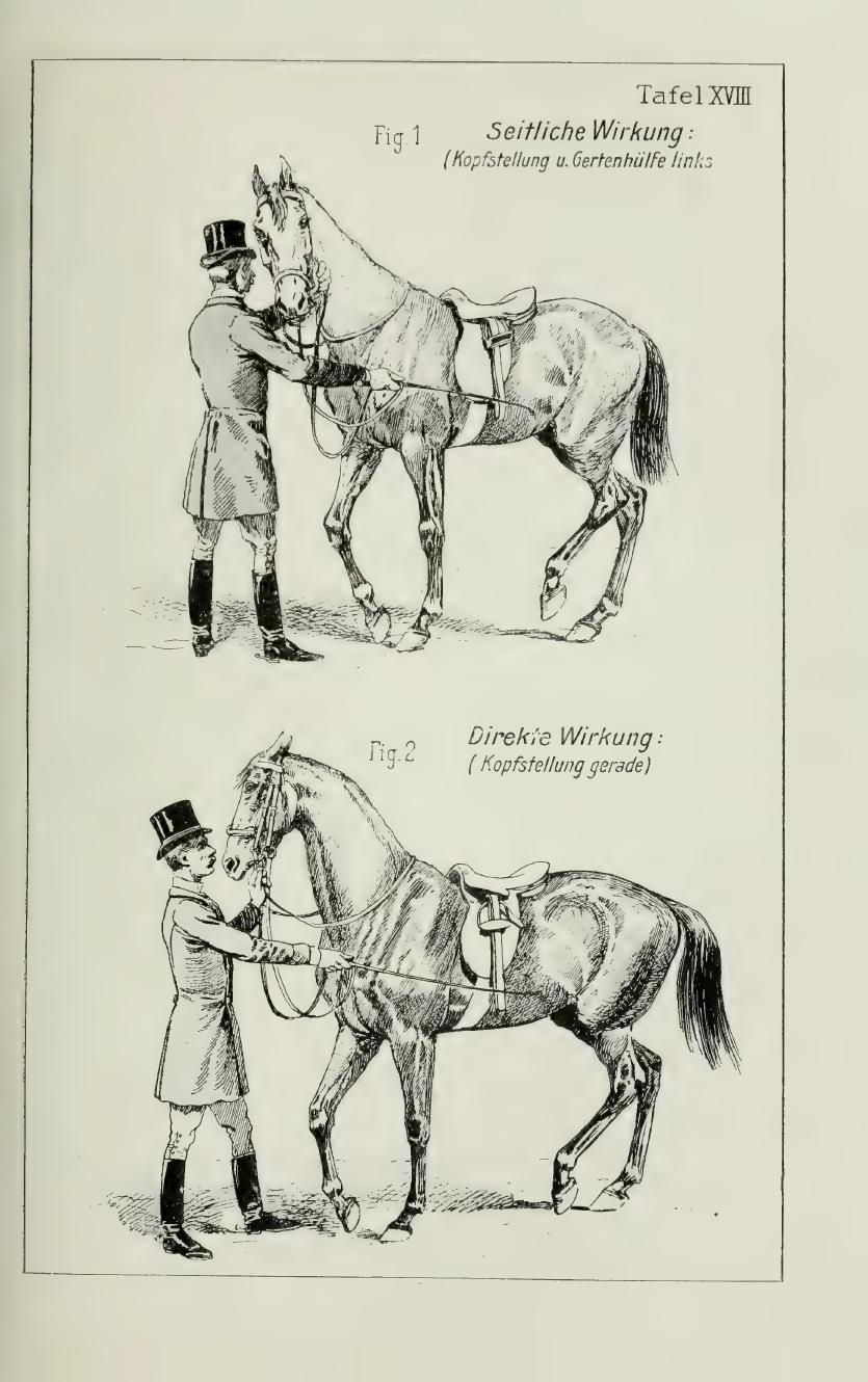 Grundsätze der Dressur und Reitkunst, скан 189 из 530