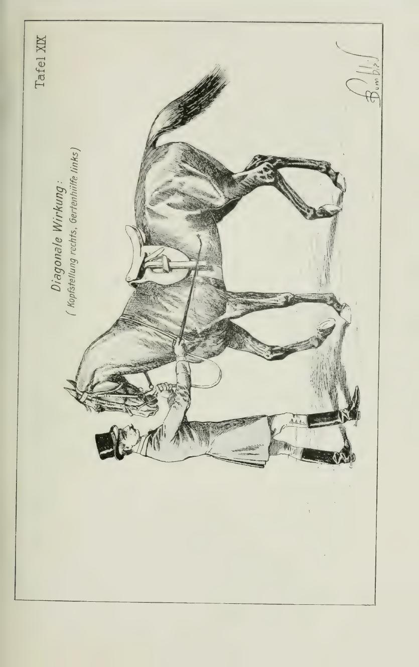 Grundsätze der Dressur und Reitkunst, скан 193 из 530