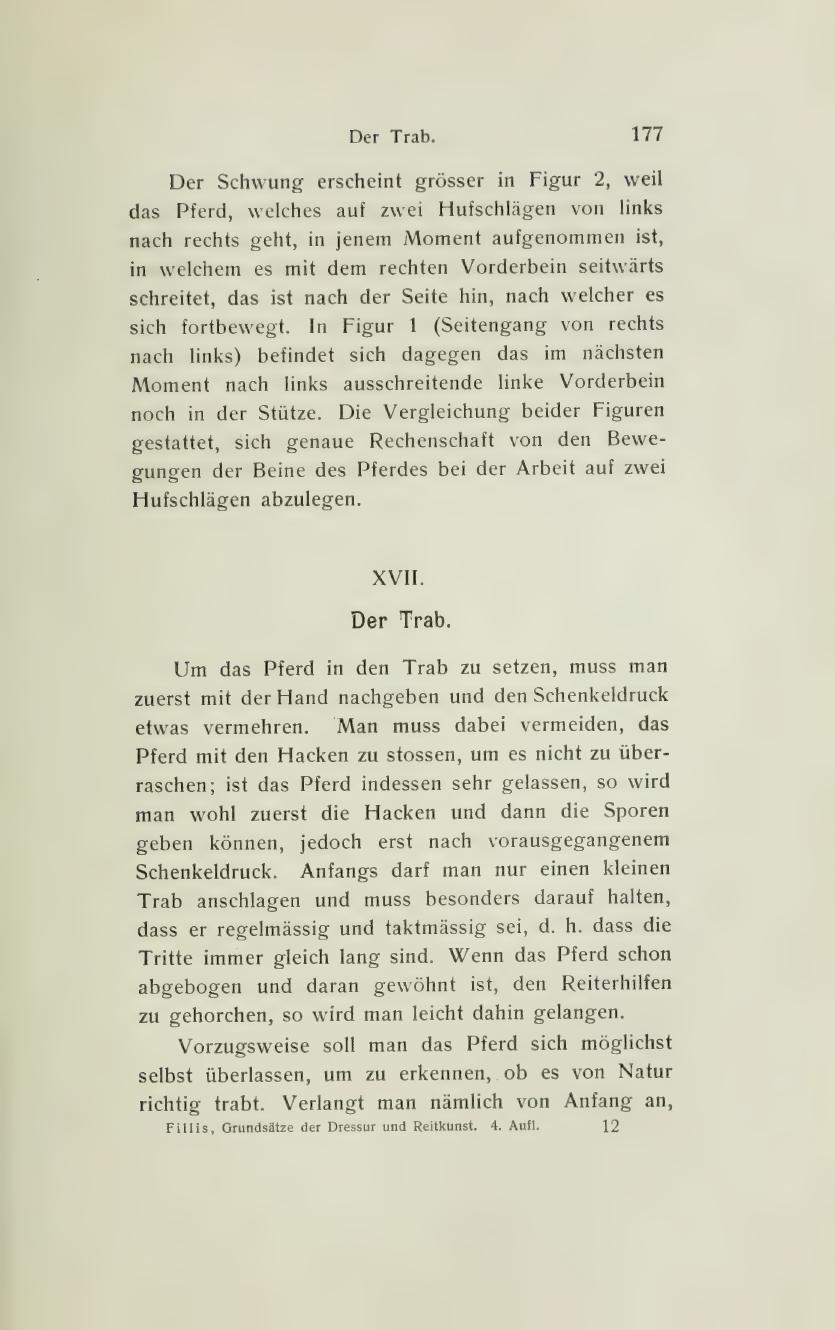 Grundsätze der Dressur und Reitkunst, скан 239 из 530