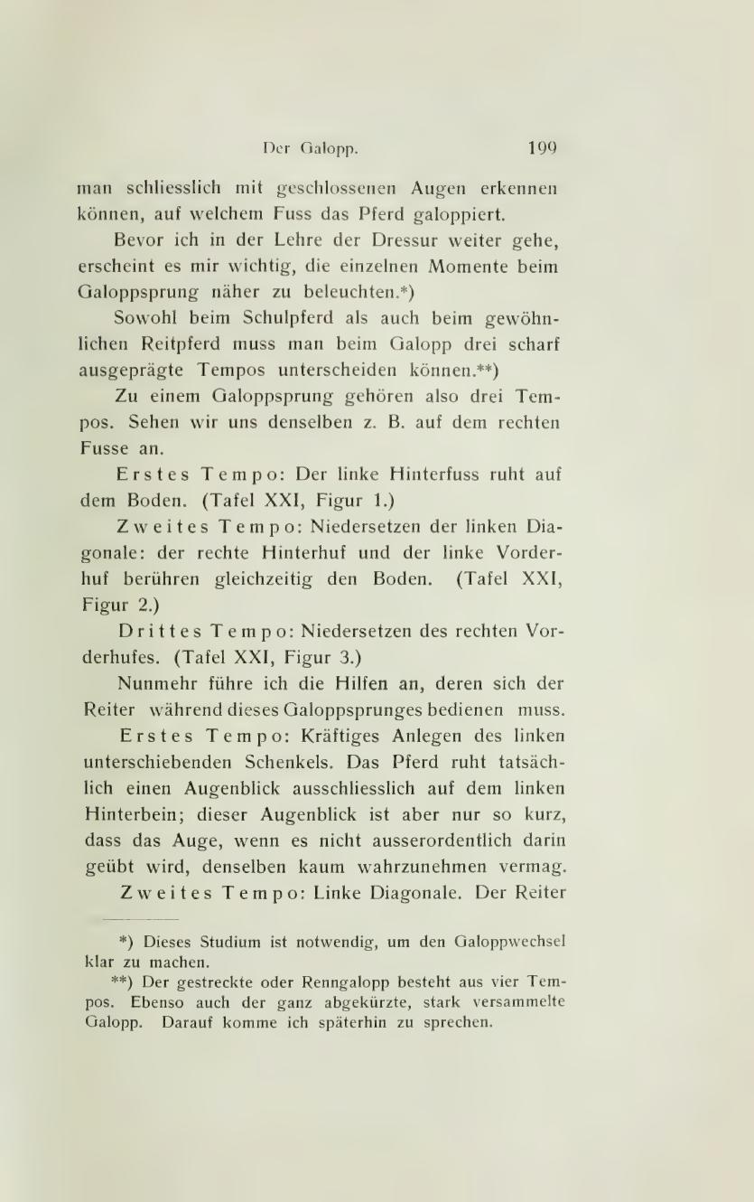 Grundsätze der Dressur und Reitkunst, скан 261 из 530