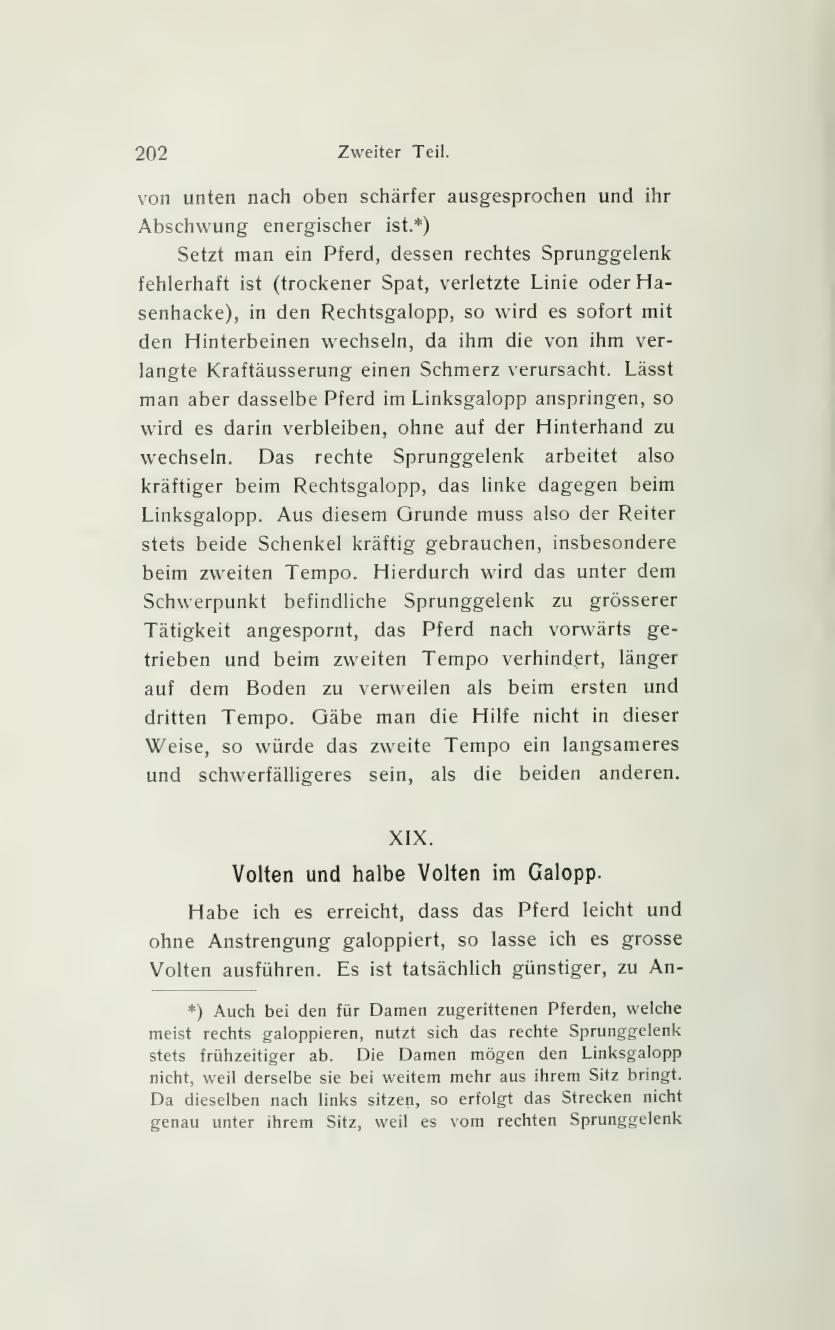Grundsätze der Dressur und Reitkunst, скан 266 из 530