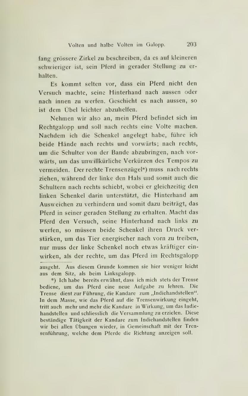 Grundsätze der Dressur und Reitkunst, скан 267 из 530