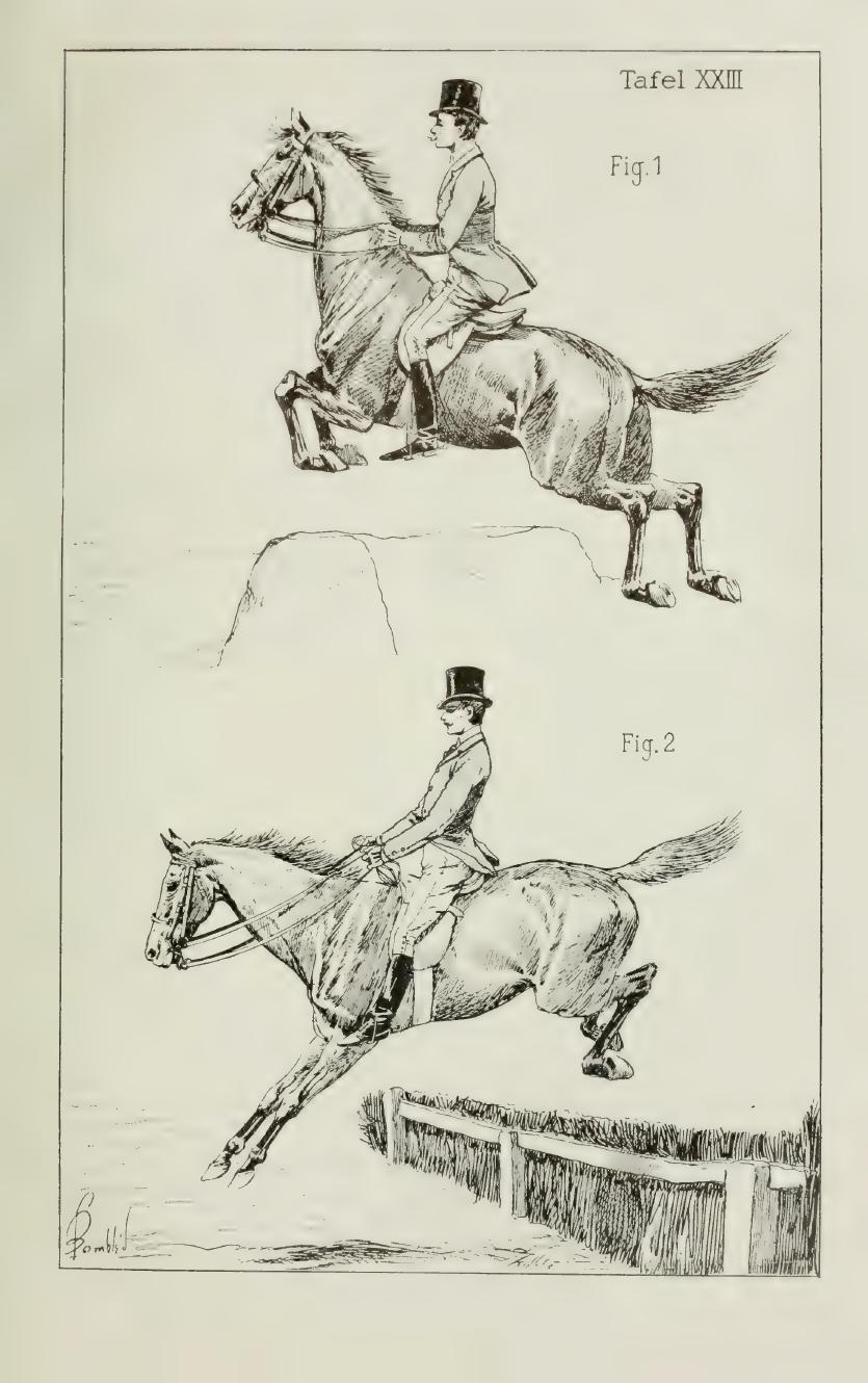 Grundsätze der Dressur und Reitkunst, скан 327 из 530