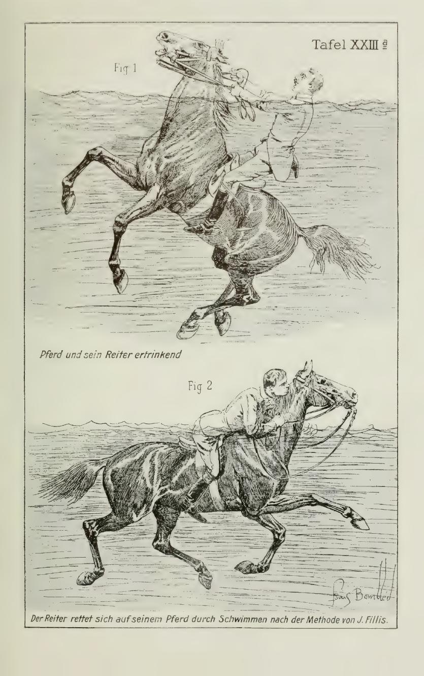 Grundsätze der Dressur und Reitkunst, скан 369 из 530