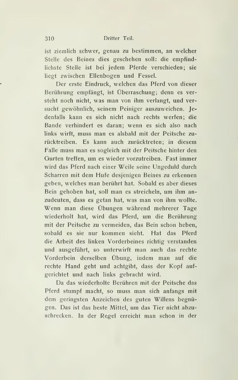 Grundsätze der Dressur und Reitkunst, скан 380 из 530
