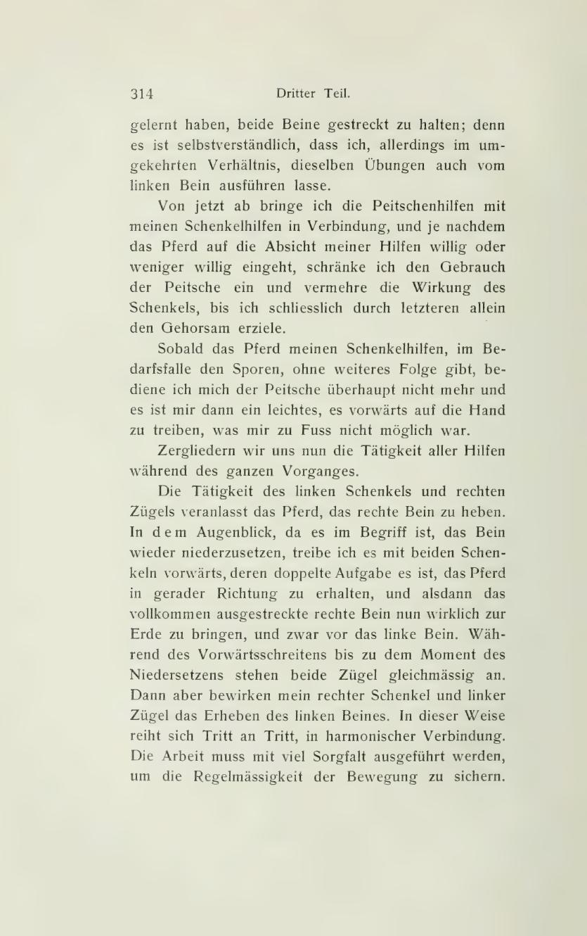 Grundsätze der Dressur und Reitkunst, скан 384 из 530