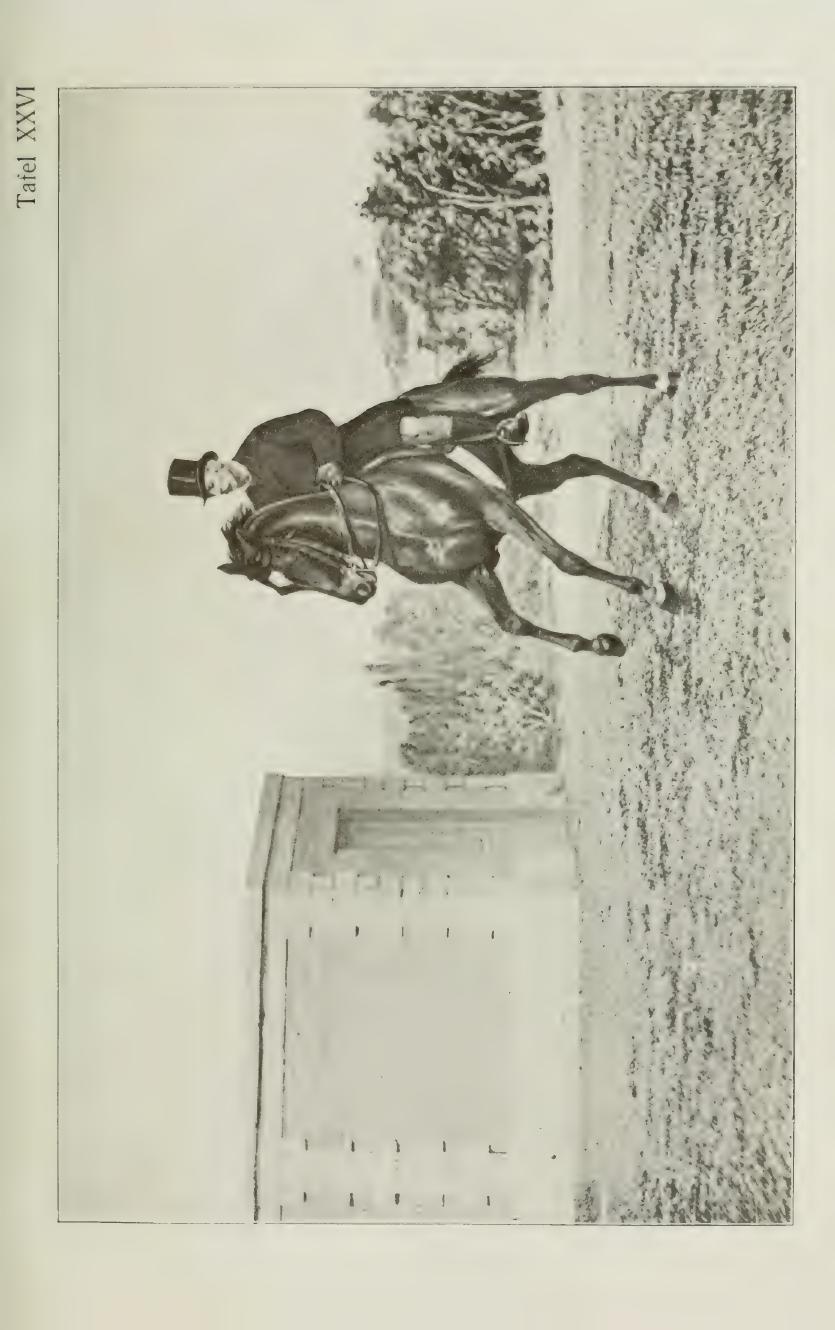 Grundsätze der Dressur und Reitkunst, скан 413 из 530