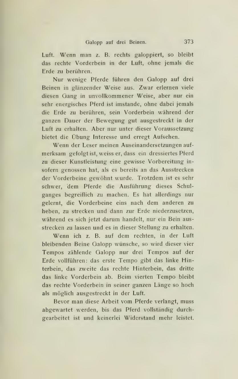 Grundsätze der Dressur und Reitkunst, скан 457 из 530