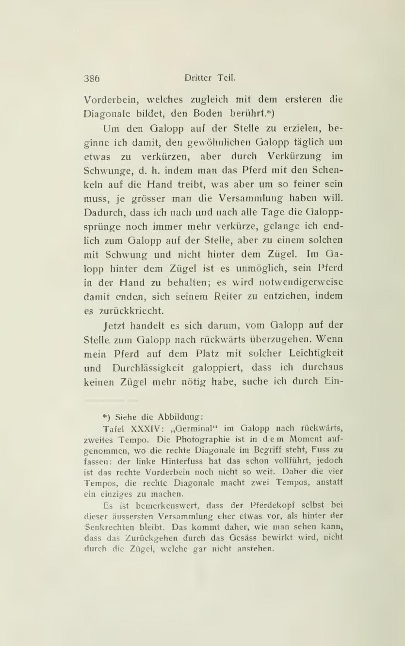 Grundsätze der Dressur und Reitkunst, скан 476 из 530