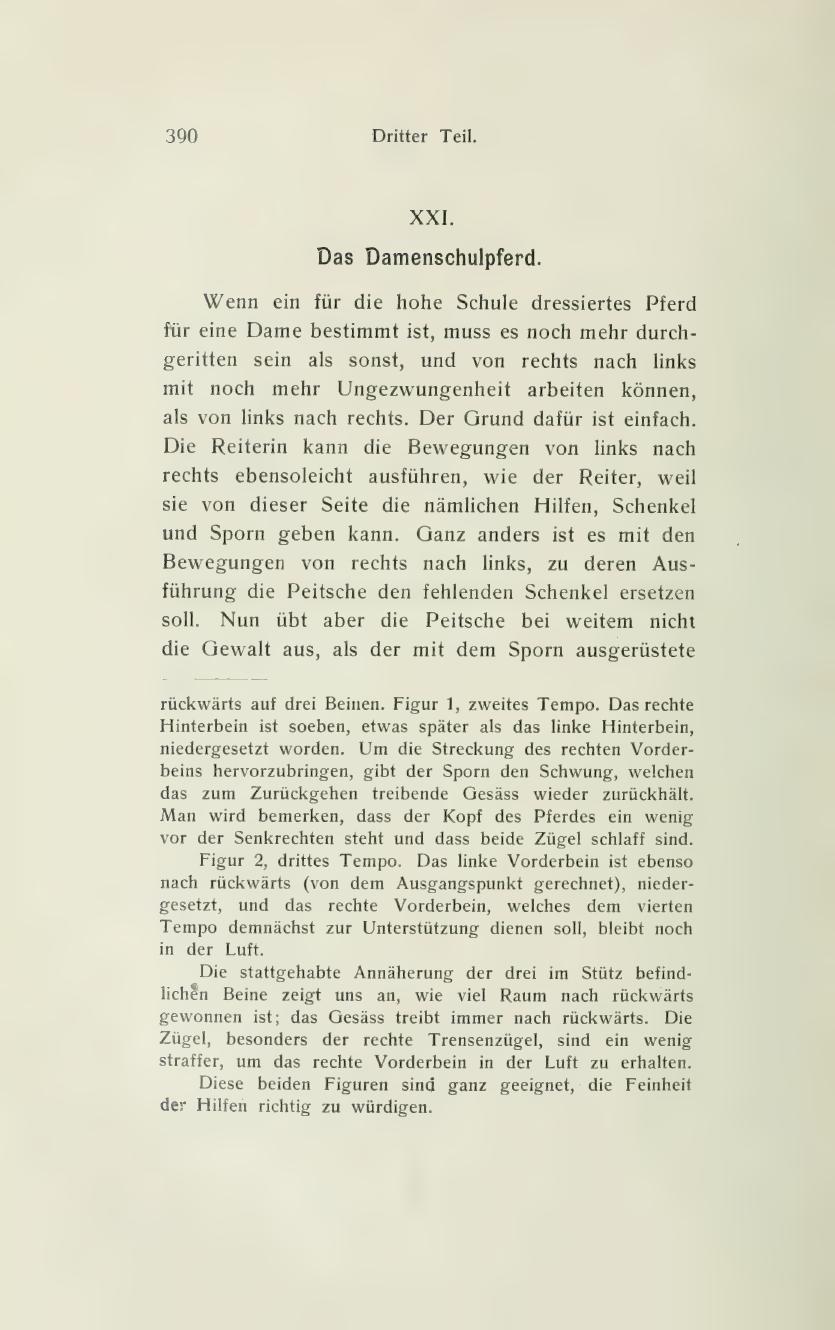 Grundsätze der Dressur und Reitkunst, скан 484 из 530