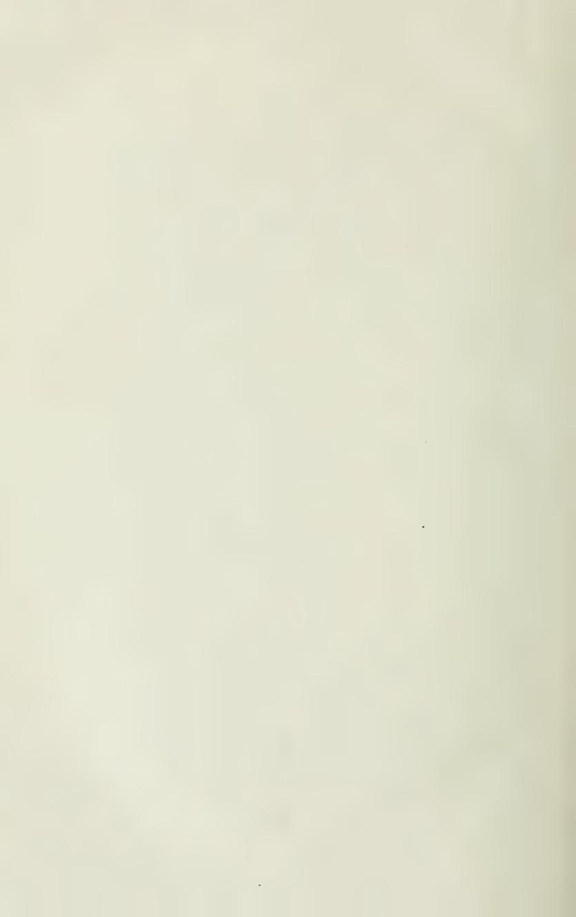 Grundsätze der Dressur und Reitkunst, скан 522 из 530
