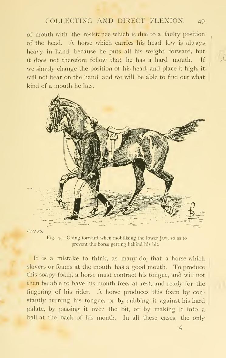 Breaking and riding, скан 67 из 382
