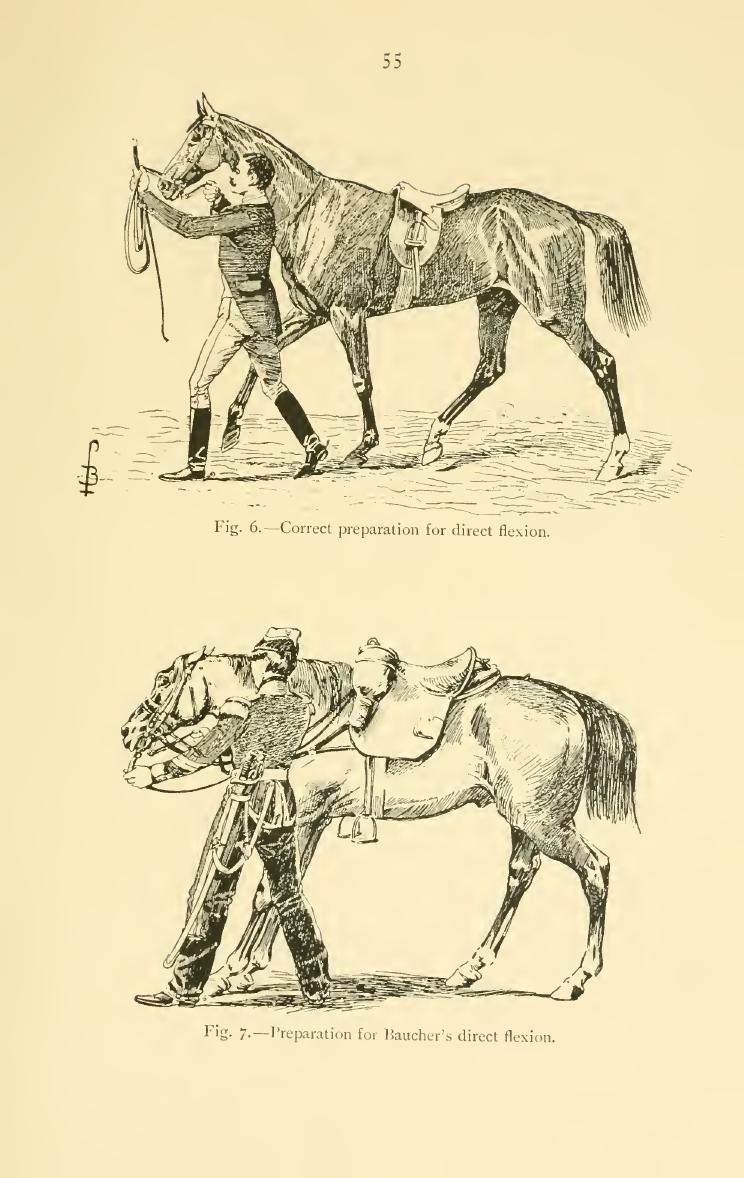 Breaking and riding, скан 73 из 382