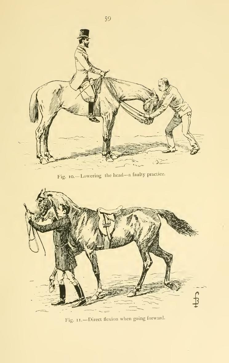 Breaking and riding, скан 77 из 382