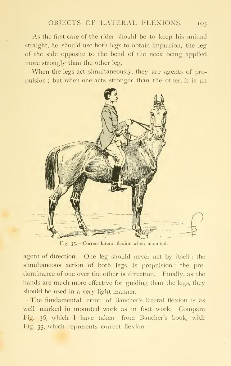 Breaking and riding, скан 123 из 382