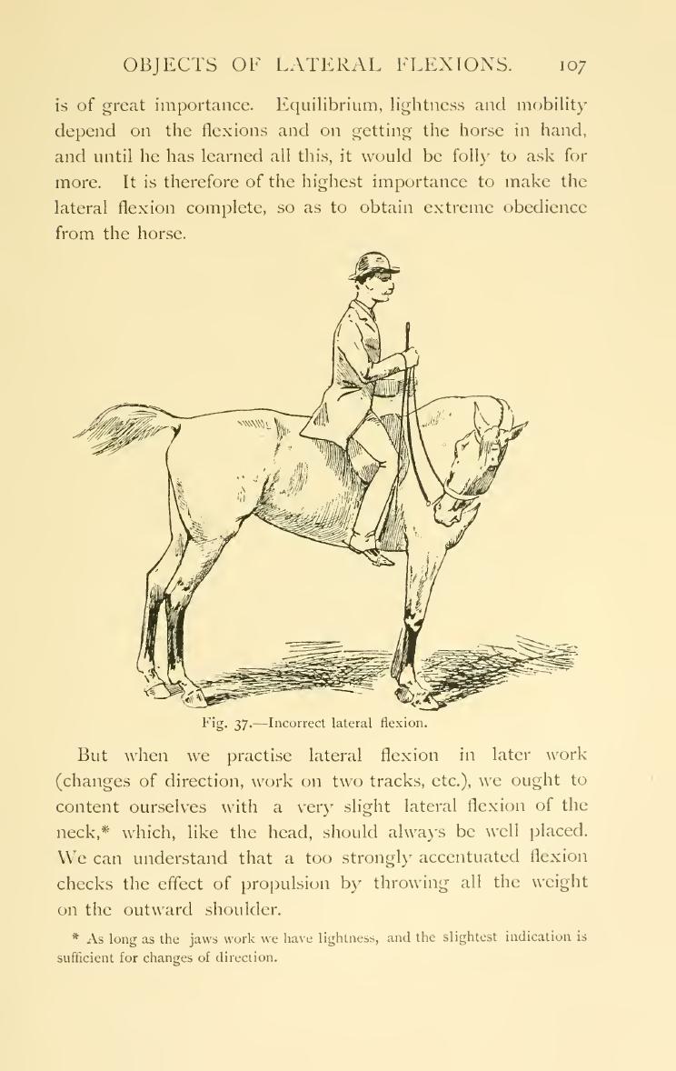 Breaking and riding, скан 125 из 382