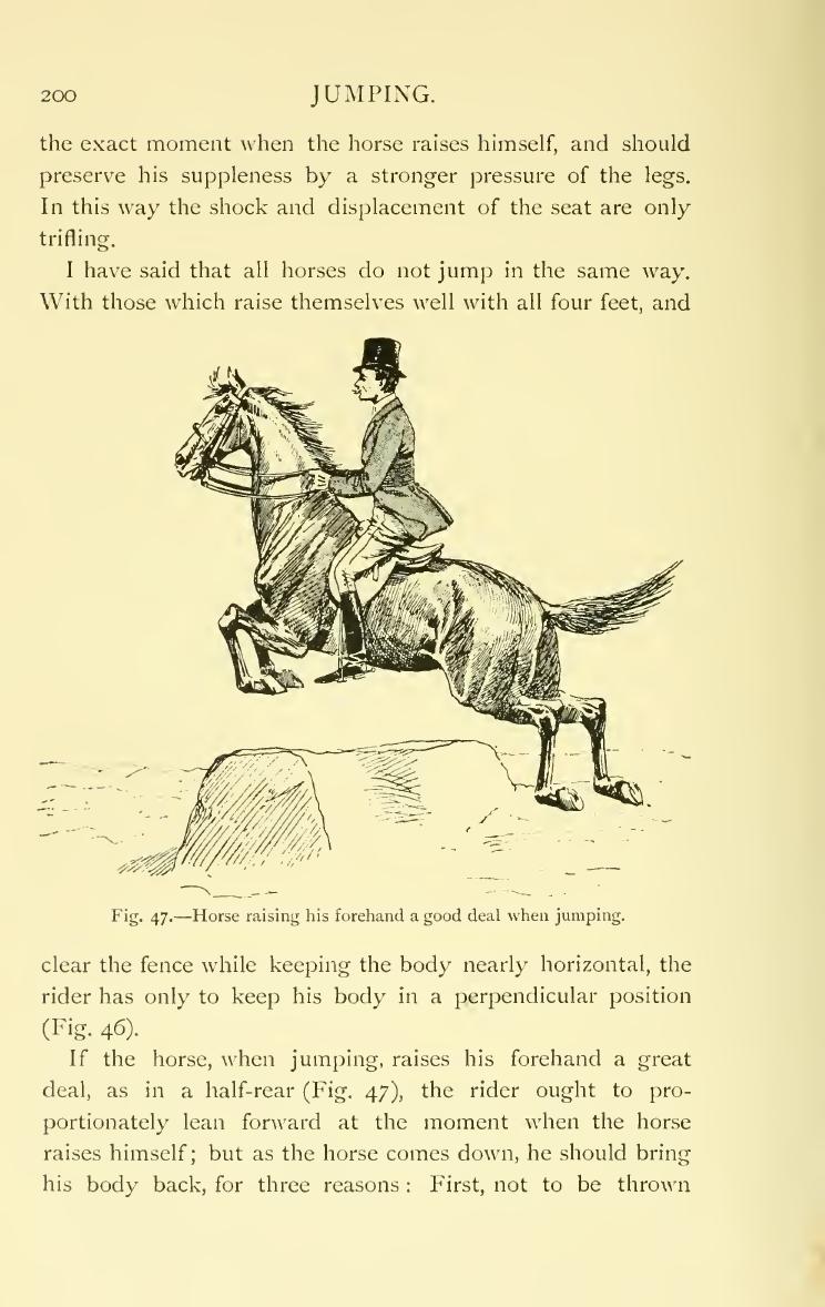 Breaking and riding, скан 218 из 382