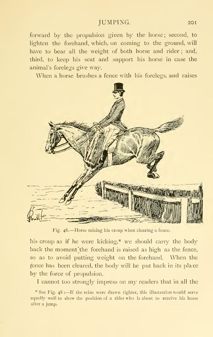 Breaking and riding, скан 219 из 382