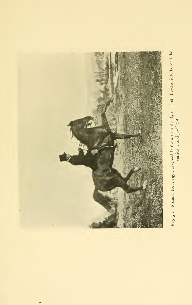 Breaking and riding, скан 271 из 382