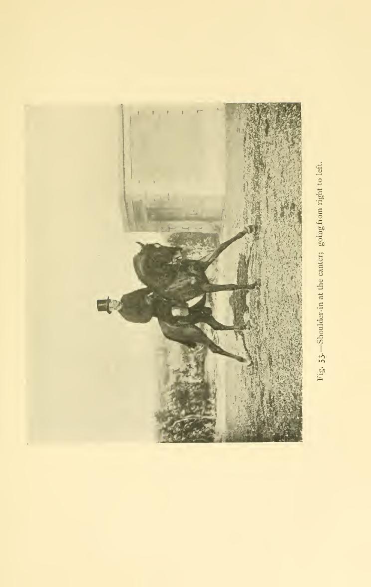 Breaking and riding, скан 281 из 382