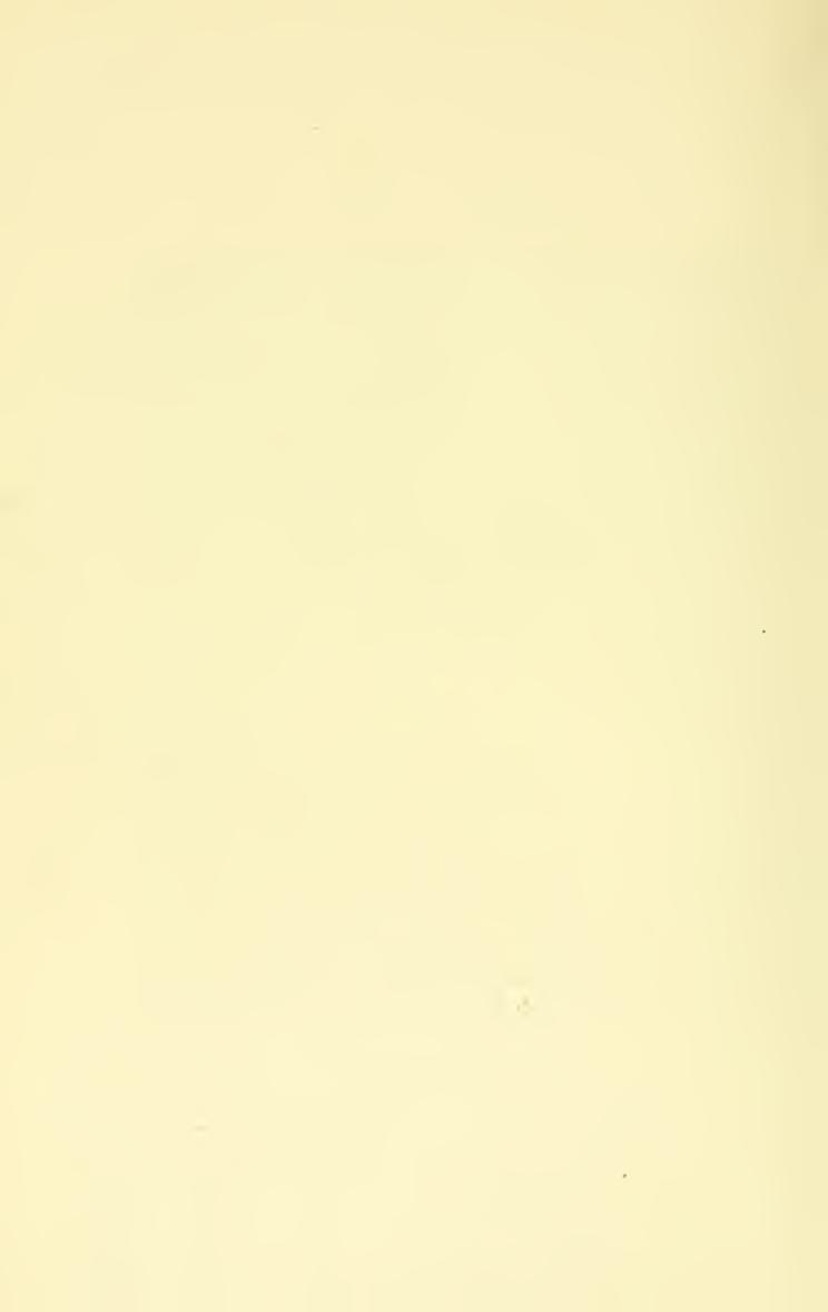 Breaking and riding, скан 284 из 382