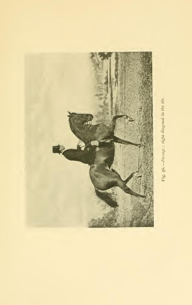 Breaking and riding, скан 295 из 382