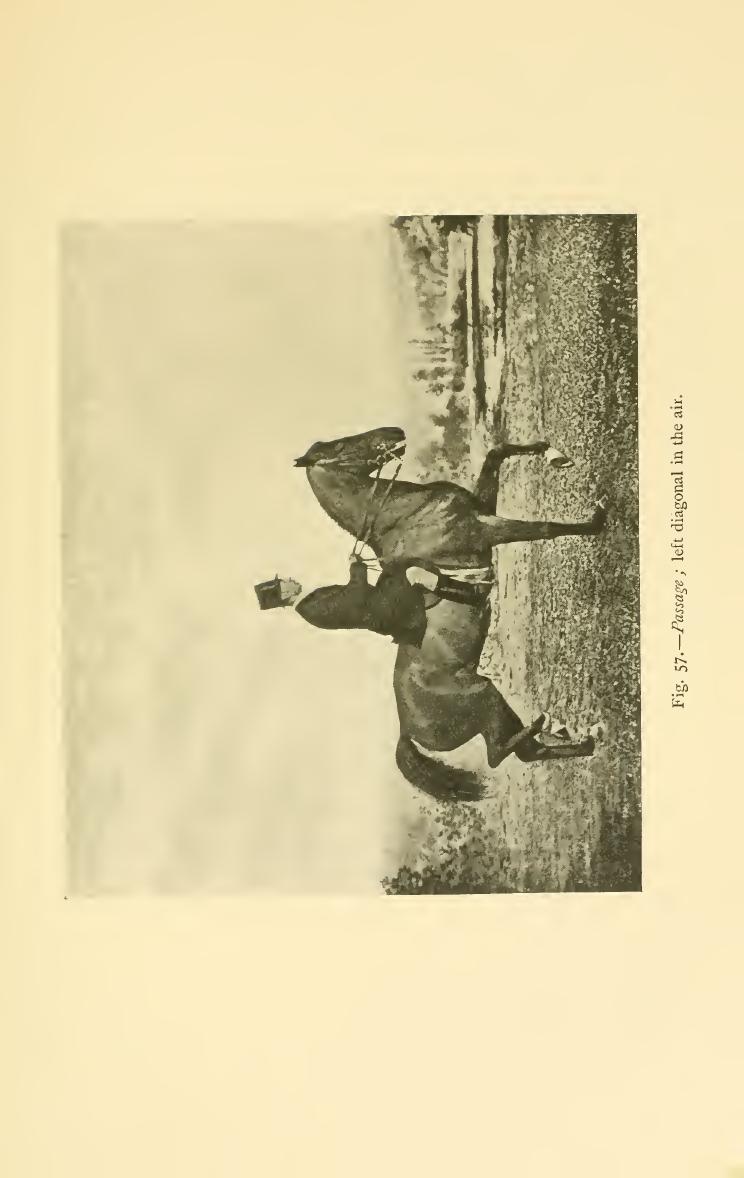 Breaking and riding, скан 297 из 382