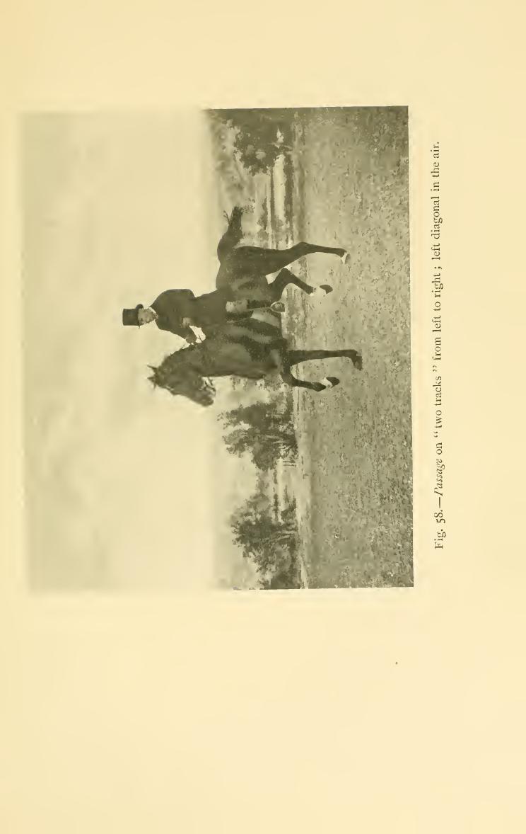 Breaking and riding, скан 301 из 382