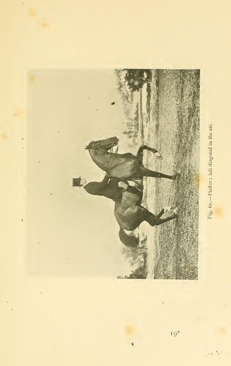 Breaking and riding, скан 309 из 382