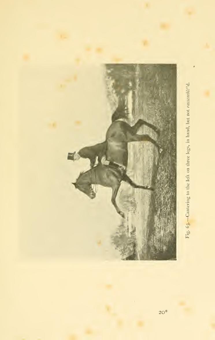 Breaking and riding, скан 325 из 382