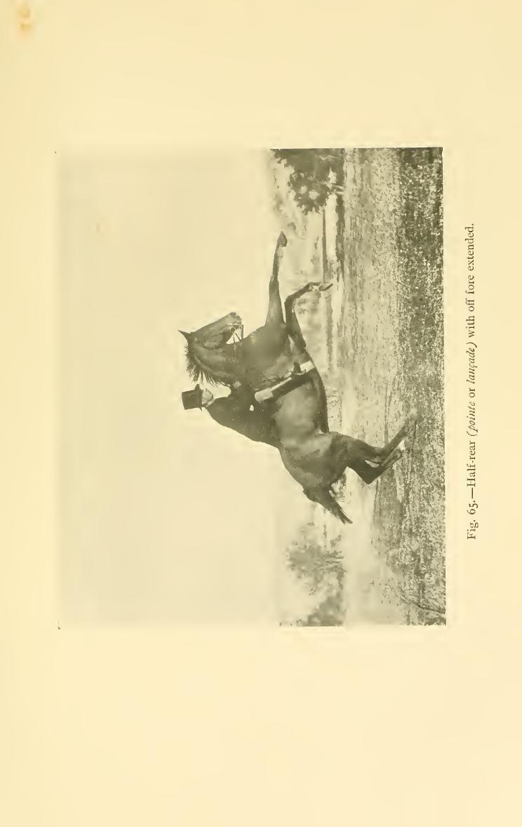 Breaking and riding, скан 329 из 382