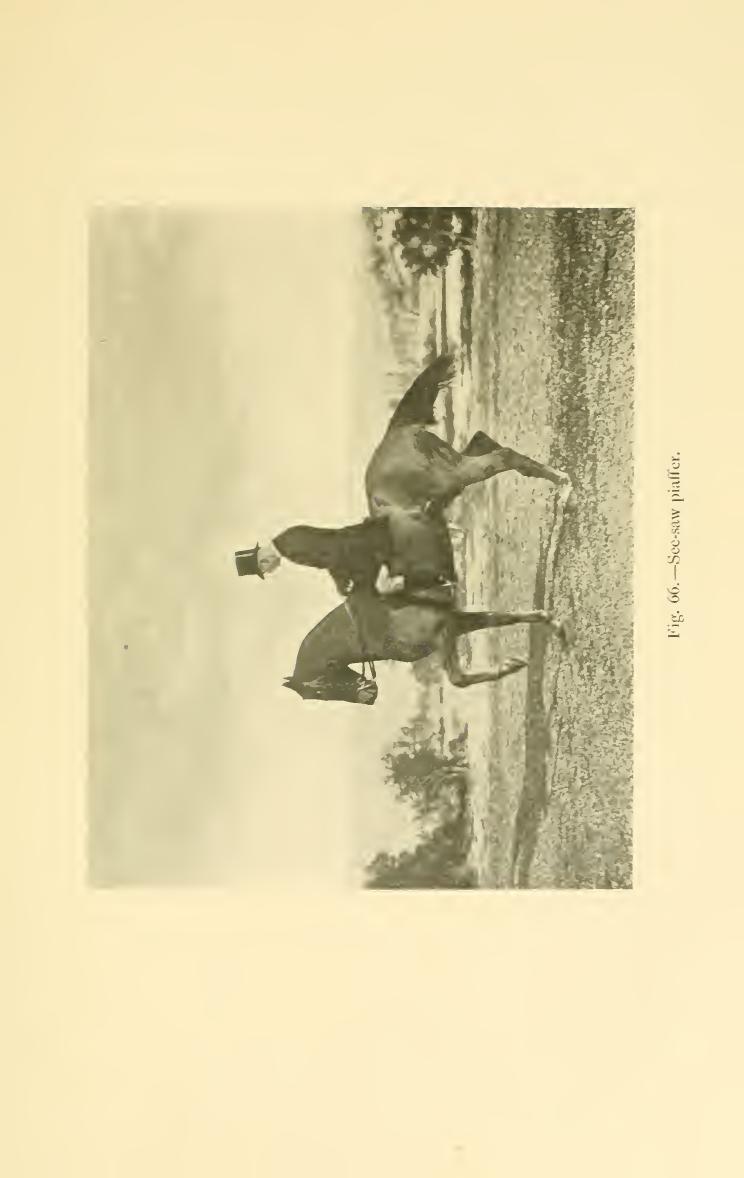 Breaking and riding, скан 333 из 382