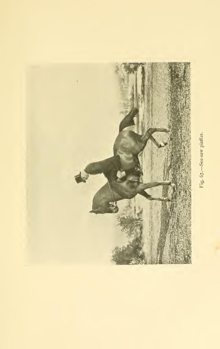 Breaking and riding, скан 335 из 382