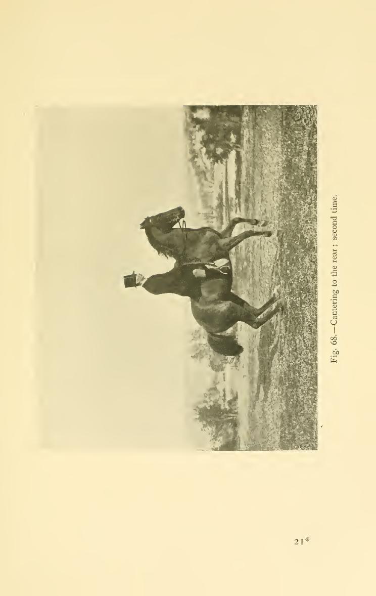 Breaking and riding, скан 341 из 382