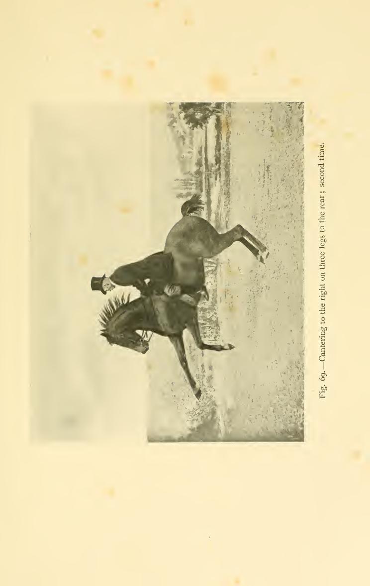 Breaking and riding, скан 345 из 382